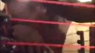 إيلي ليلي يجعل الحب مع سيدة شقي بعد أن عادت إلى المنزل من العمل إيلي ليلي يجعل الحب مع سيدة شقي بعد أن عادت إلى المنزل من العمل