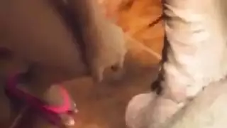 اوسخ سكس مصرى ممكن تشوفه سيد شغال نيك فيها فى رمضان و الشرموطة تقوله بالراحة طيب الجيران هتسمعنا