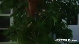 تحصل مارس الجنس ربة منزل شقراء مغرور في حذاء أبيض مع الكعب العالي من قبل زوجها تحصل مارس الجنس ربة منزل شقراء مغرور في حذاء أبيض مع الكعب العالي من قبل زوجها