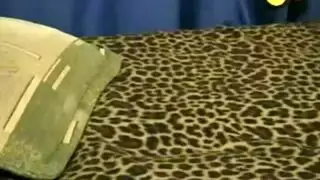 في سن المراهقة الشقراء مفلس والفتيات في سن المراهقة يلعبون مع بعضهم البعض