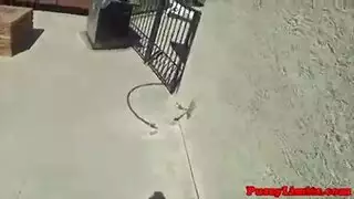 حصلت الفاسقة الحبر في جوارب طويلة على حمولة من نائب الرئيس في جميع أنحاء وجهها الجميل ، بعد انتهاءها حصلت الفاسقة الحبر في جوارب طويلة على حمولة من نائب الرئيس في جميع أنحاء وجهها الجميل ، بعد انتهاءها