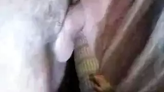 في منزلها ، كانت موكا مورا تشاهد أشقرًا لطيفًا وهي تُحصل على كسها الضيق من قبل صديقها. في منزلها ، كانت موكا مورا تشاهد أشقرًا لطيفًا وهي تُحصل على كسها الضيق من قبل صديقها.